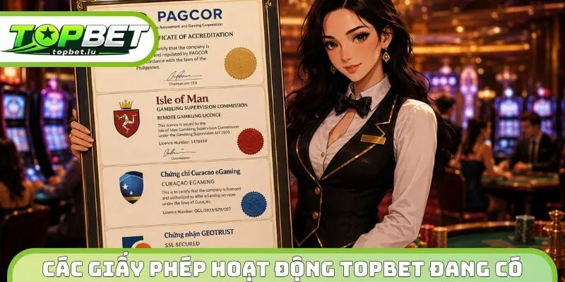 Các giấy phép hoạt động Topbet đang có 