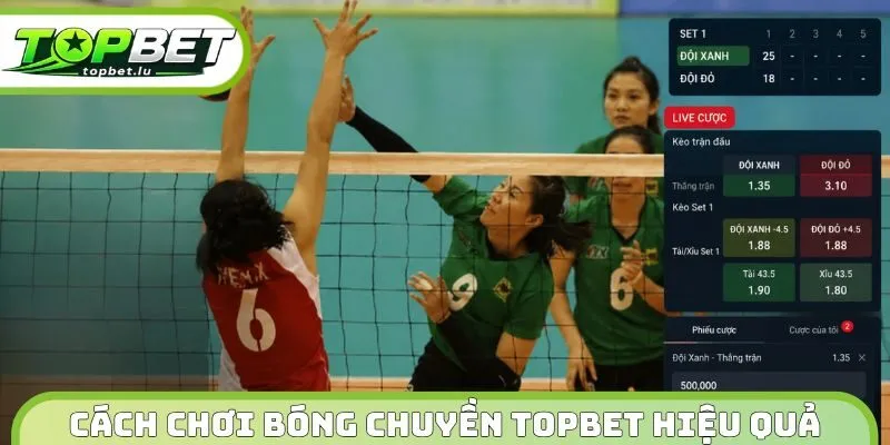 Cách chơi bóng chuyền Topbet hiệu quả  