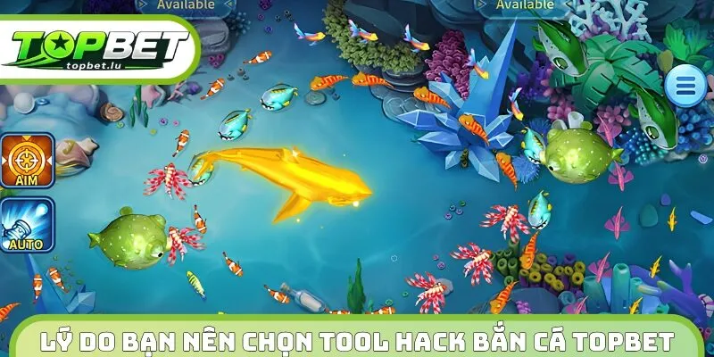 Lý do bạn nên chọn tool hack bắn cá Topbet