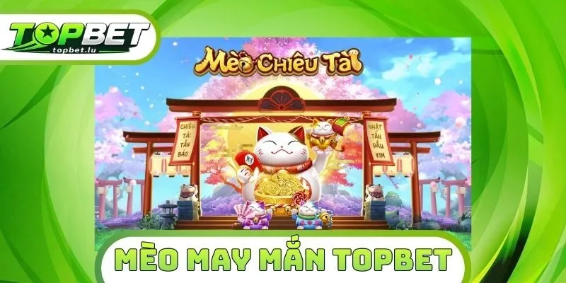Mèo May Mắn Topbet