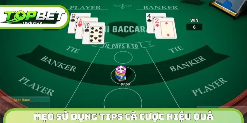Mẹo sử dụng tips cá cược hiệu quả cho tân thủ