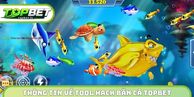 Thông tin về tool hack bắn cá Topbet