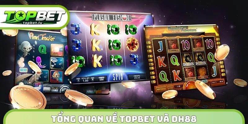 Tổng quan về Topbet và DH88