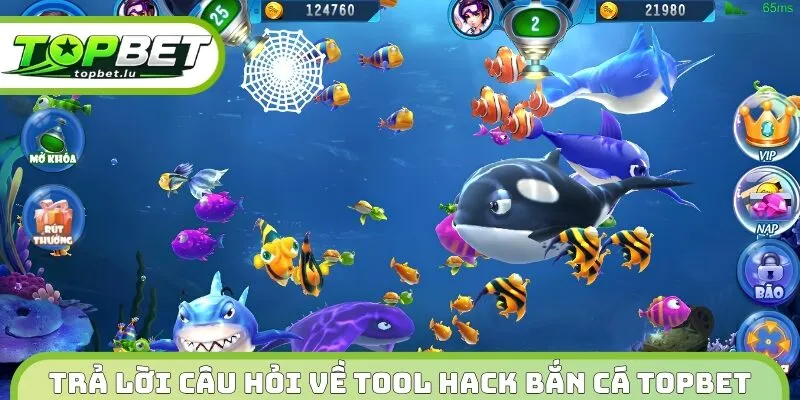 Trả lời câu hỏi về tool hack bắn cá Topbet